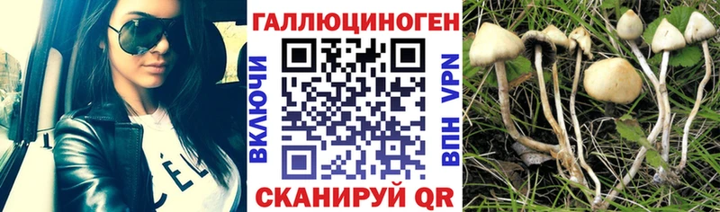 ссылка на мегу маркетплейс  Ленинск  Псилоцибиновые грибы прущие грибы 